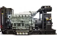Дизельный генератор Himoinsa HTW-1260 T5