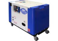 Дизельный сварочный генератор в кожухе TSS DGW-300ES Дизельный сварочный генератор в кожухе TSS DGW-300ES